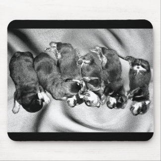 Tapis De Souris chiots à tête blanche