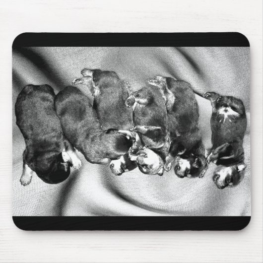 Tapis De Souris chiots à tête blanche (Devant)