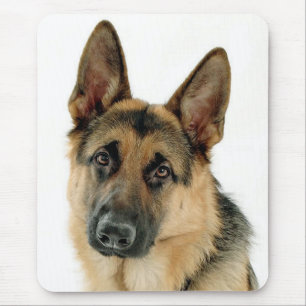 Tapis De Souris Chiots Berger Allemand