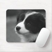 Tapis De Souris Chiots Border Collie (Avec souris)