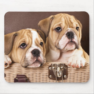 Tapis De Souris Chiots Bouledogue Anglais - Canin