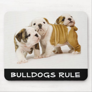 Tapis de souris Chiots Bouledogues Mignons Jouant