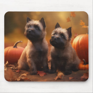 Tapis De Souris Chiots Cairn Terrier Automne Délice Citrouille
