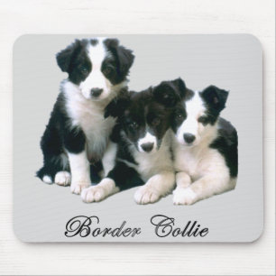 Tapis De Souris Chiots de border collie