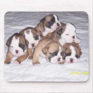 Tapis De Souris chiots de bouledogue