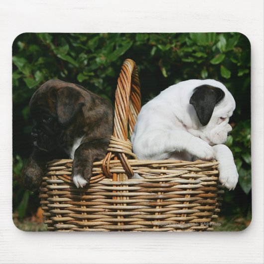 Tapis De Souris Chiots de boxeur dans le panier (Devant)