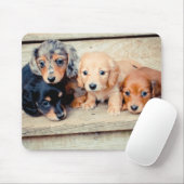Tapis De Souris Chiots de Dachshund (Avec souris)