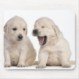 Tapis De Souris Chiots de golden retriever (4 semaines de)