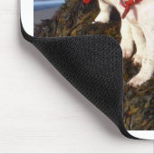 Tapis De Souris Chiots de Jack Russell (Coin)