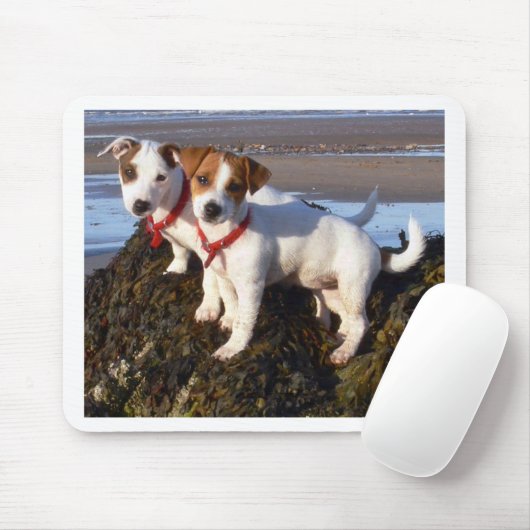 Tapis De Souris Chiots de Jack Russell (Avec souris)