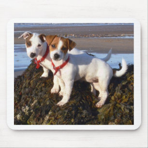 Tapis De Souris Chiots de Jack Russell