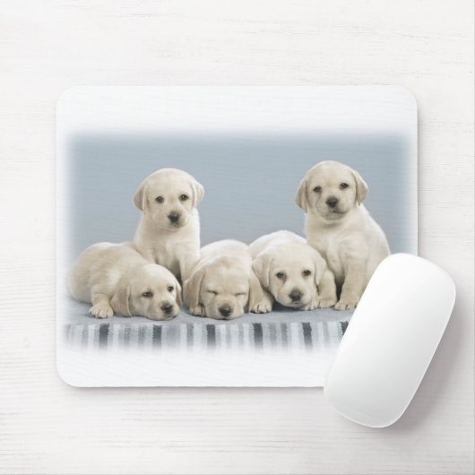Tapis De Souris Chiots de Labrador (Avec souris)