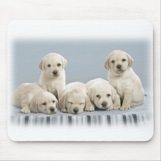 Tapis De Souris Chiots de Labrador