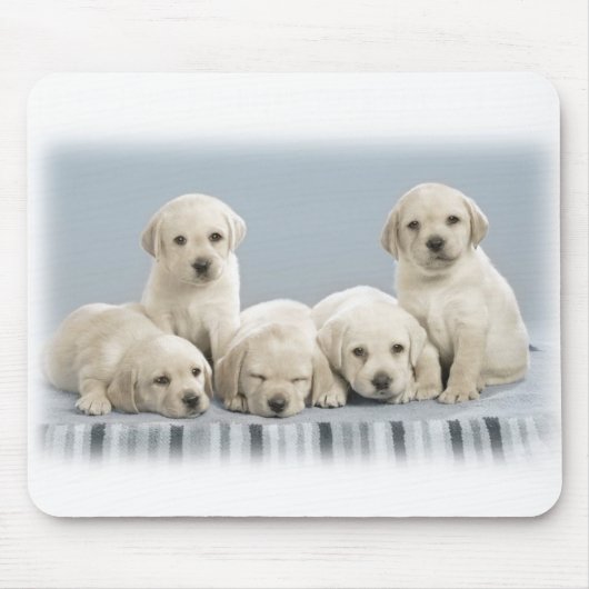 Tapis De Souris Chiots de Labrador (Devant)