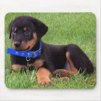 Tapis De Souris chiots de rottweiler
