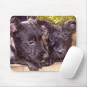 Tapis De Souris Chiots de Scottie (Avec souris)