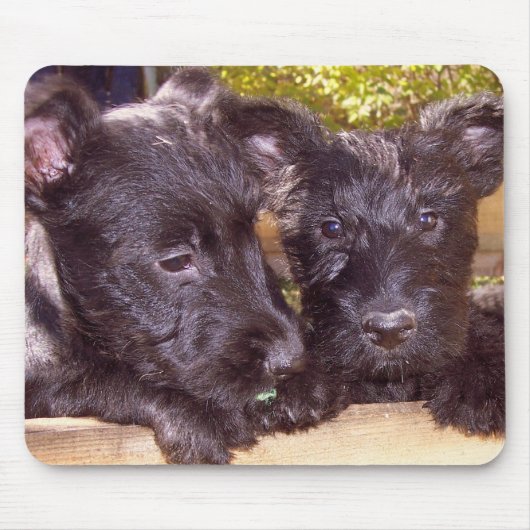 Tapis De Souris Chiots de Scottie (Devant)