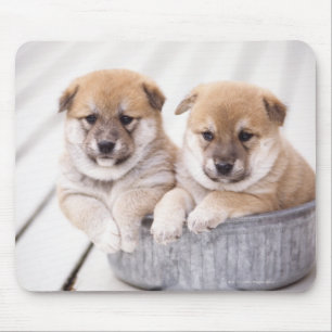 Tapis De Souris Chiots de Shiba Inu dans le baquet en aluminium