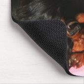Tapis De Souris Chiots du roi Charles Cavalier (Coin)