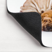 Tapis De Souris Chiots mignons de Shar Pei (Coin)