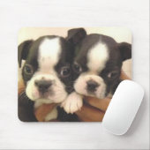 Tapis De Souris Chiots Mousepad de Boston (Avec souris)
