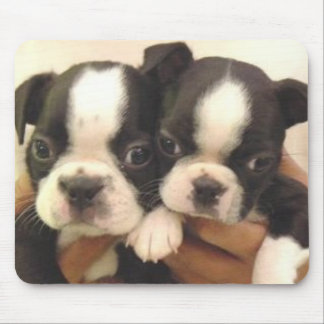 Tapis De Souris Chiots Mousepad de Boston