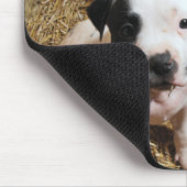 Tapis De Souris Chiots Mousepad de PitBull (Coin)