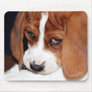 Tapis De Souris Chiou Chien