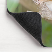 Tapis De Souris Chipmonk (Coin)