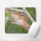 Tapis De Souris Chipmonk (Avec souris)