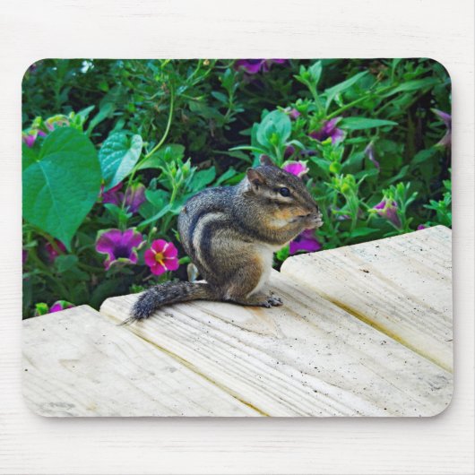 Tapis De Souris Chipmunk (Devant)