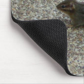 Tapis De Souris Chipmunk (Coin)