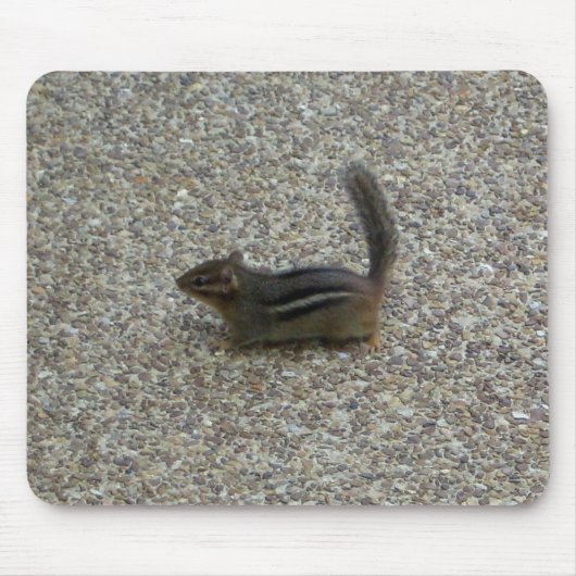 Tapis De Souris Chipmunk (Devant)