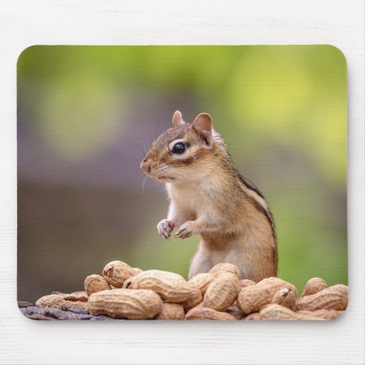 Tapis De Souris Chipmunk aux cacahuètes (Devant)