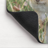 Tapis De Souris Chipmunk Cheeks Souris (Coin)