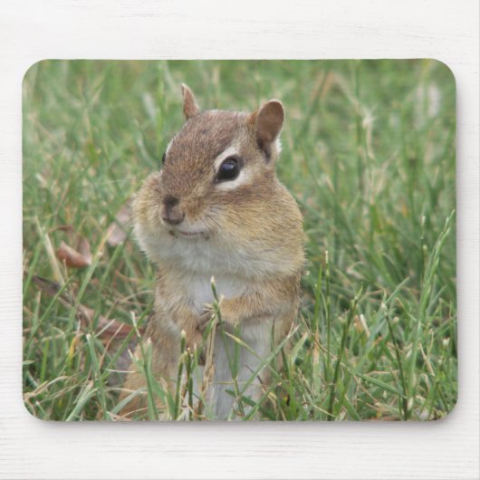 Tapis De Souris Chipmunk Cheeks Souris (Devant)
