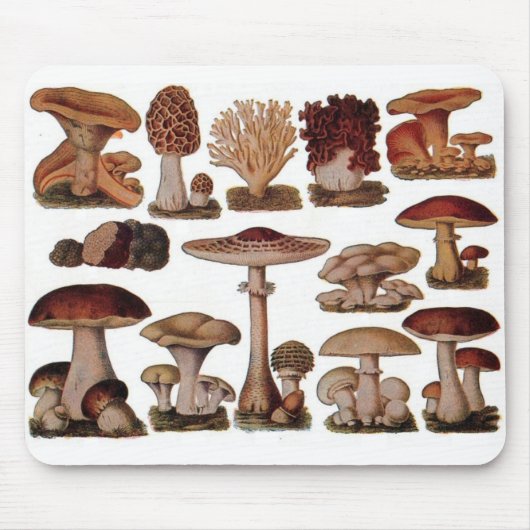 Tapis De Souris Chipster végétarien steampunk vintage champignon (Devant)