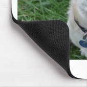 Tapis De Souris Chiwawa (Coin)