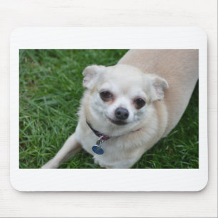 Tapis De Souris Chiwawa