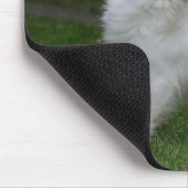 Tapis De Souris Chiwawa aux cheveux longs regardant (Coin)