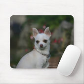 Tapis De Souris Chiwawa blanc (Avec souris)