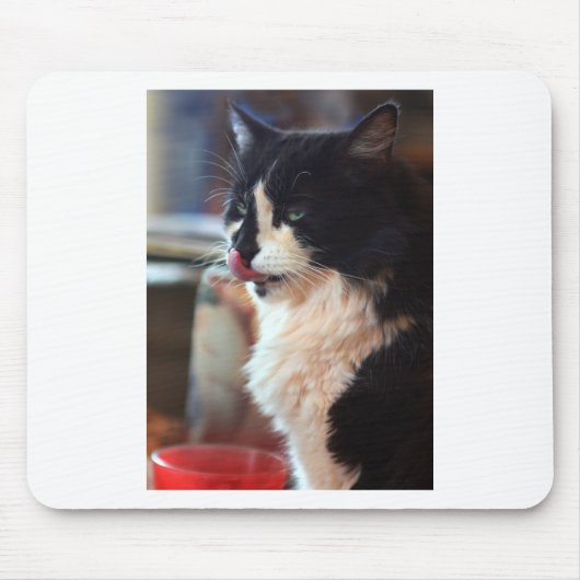 Tapis De Souris Chloe Licks (Devant)