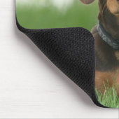 Tapis De Souris Chocolat et Tan Dachshund - Doxie (Coin)