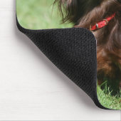 Tapis De Souris Chocolat et teckel miniature aux cheveux longs (Coin)
