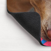 Tapis De Souris Chocolat Lab Pit Mélanger chien avec balle 2 (Coin)