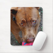 Tapis De Souris Chocolat Lab Pit Mélanger chien avec balle 2 (Avec souris)
