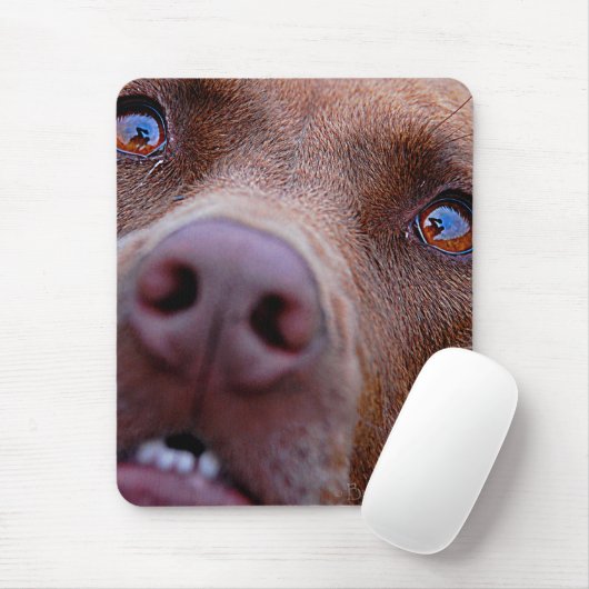Tapis De Souris Chocolat Lab Pit Mélanger le nez de chien (Avec souris)