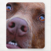 Tapis De Souris Chocolat Lab Pit Mélanger le nez de chien (Devant)
