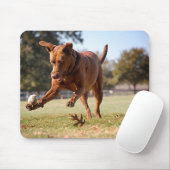 Tapis De Souris Chocolat Lab Pit Mix Chien Chasse Ball (Avec souris)