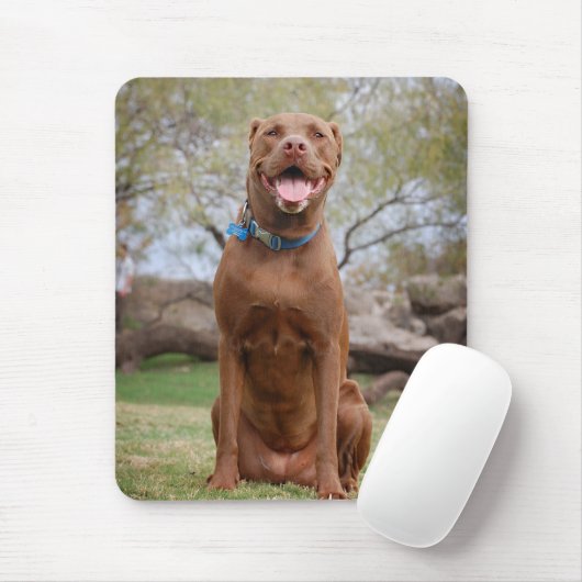 Tapis De Souris Chocolat Lab Pit Mix Chien Sourire 2 (Avec souris)